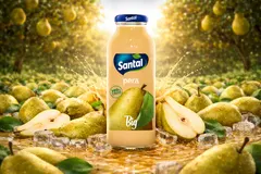 Χυμός Santal Αχλάδι Big 250ml
