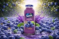 Χυμός Santal Μύρτιλο Prestige 250ml