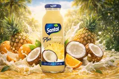 Χυμός Santal Ανανάς - Καρύδα 250ml Plus