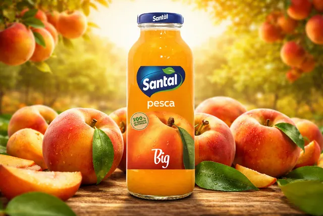 Χυμός Santal Ροδάκινο Big 250ml